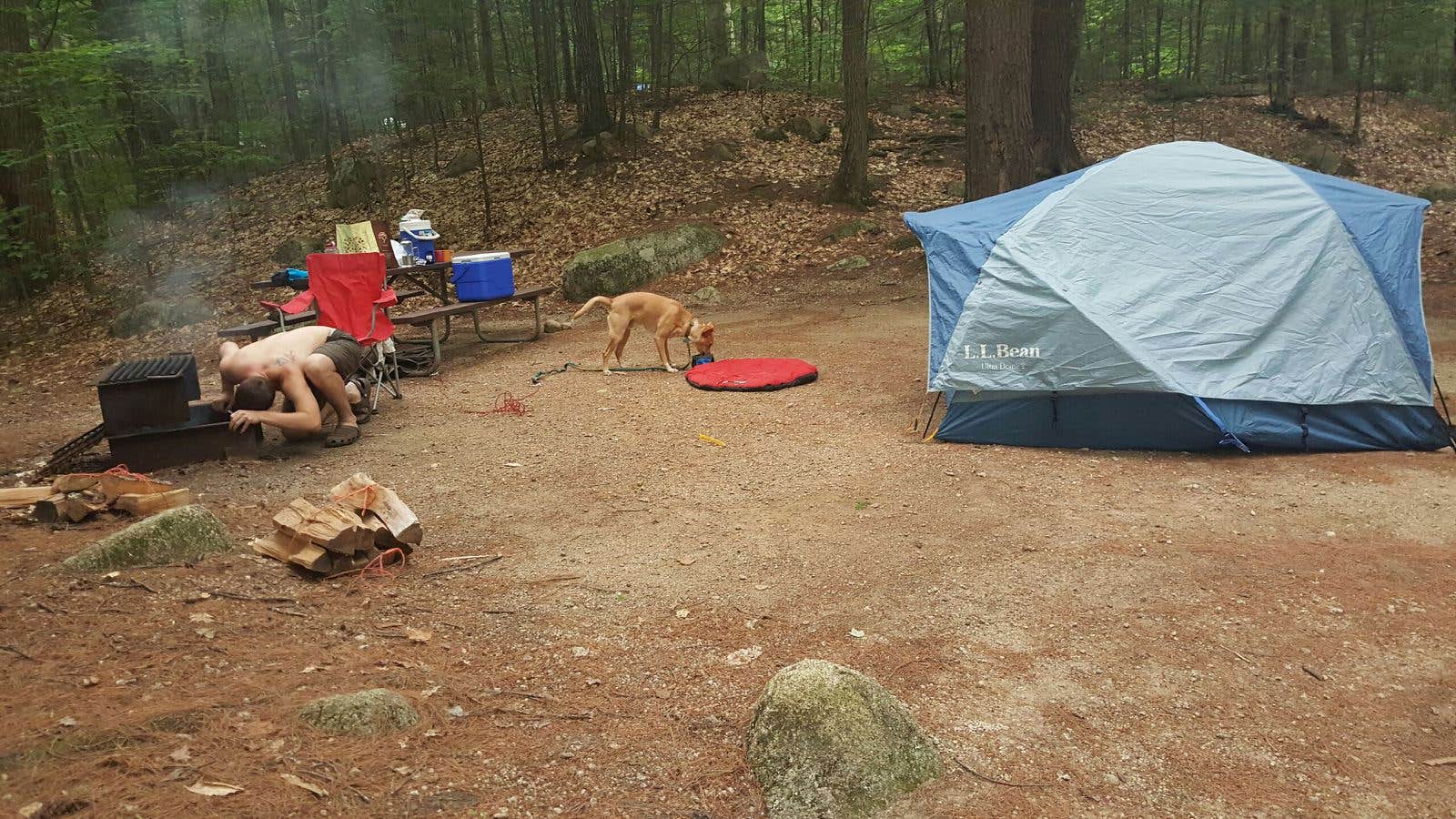 michael M.'s photo at White Ledge Campground near Center Conway, NH