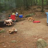 Review photo of White Ledge Campground by michael M., July 31, 2016