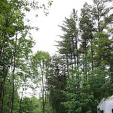 Review photo of Belview Campground by Robin P., August 25, 2018