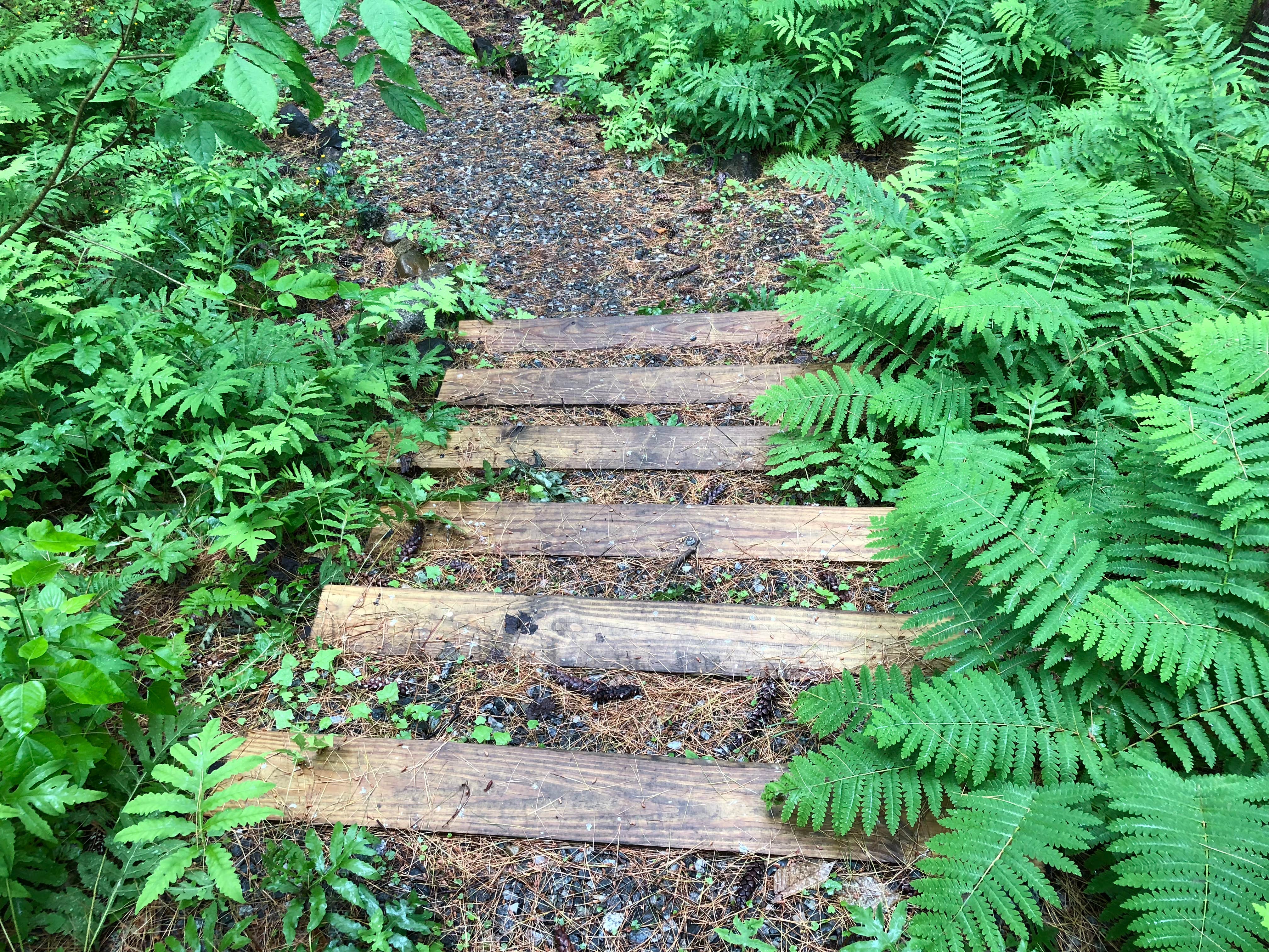 Camper-submitted photo at Belview Campground near North Troy, VT