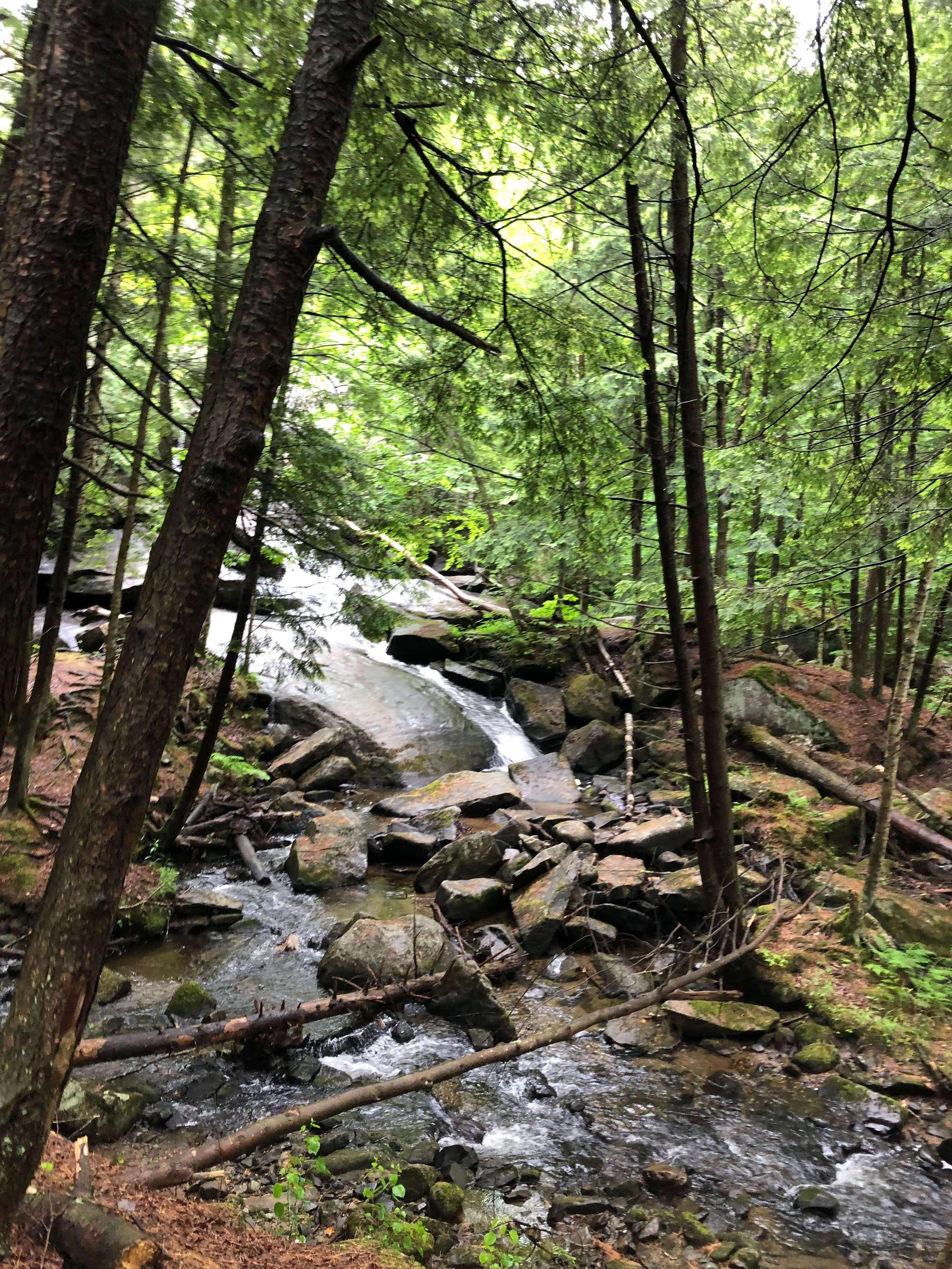 Camping near Will-O-Wood Campground: Belview Campground, Barton, Vermont