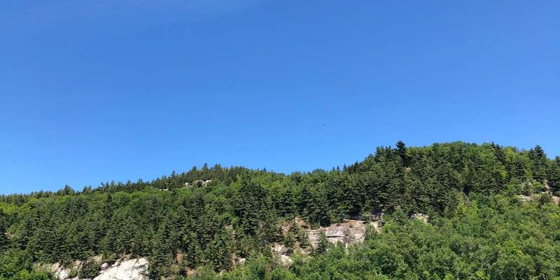 Camper submitted image from Lakewood Campgrounds