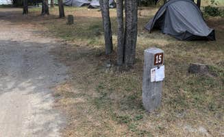 Robin P.'s photo at Lonesomehurst Campground near West Yellowstone, MT