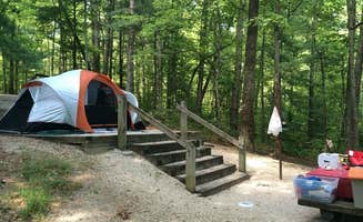 Erin H.'s photo at Koomer Ridge Campground — Daniel Boone National Forest near Buckhorn Lake