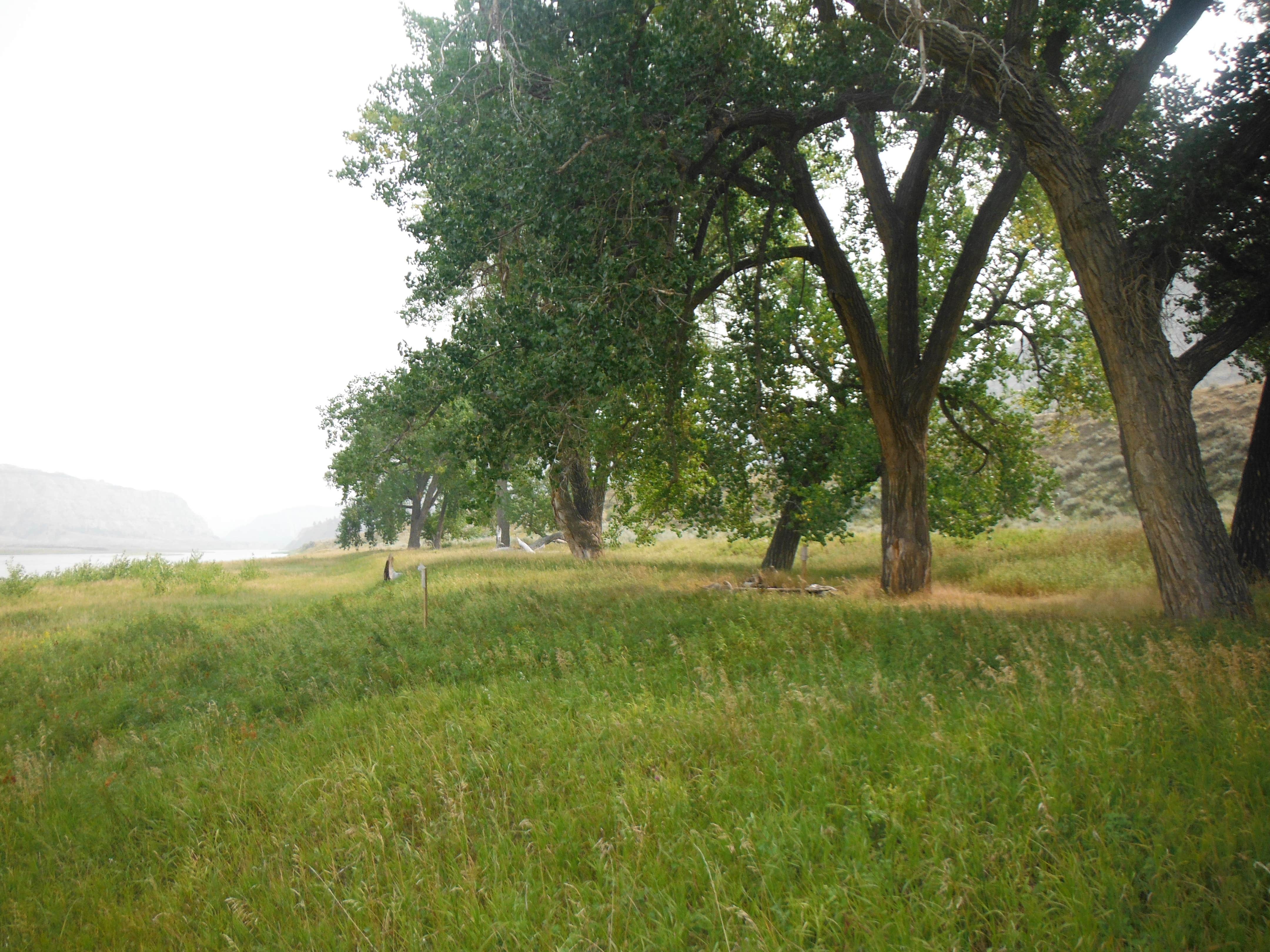 Camper-submitted photo at McGarry Bar Primitive Boat Camp near Hilger, MT