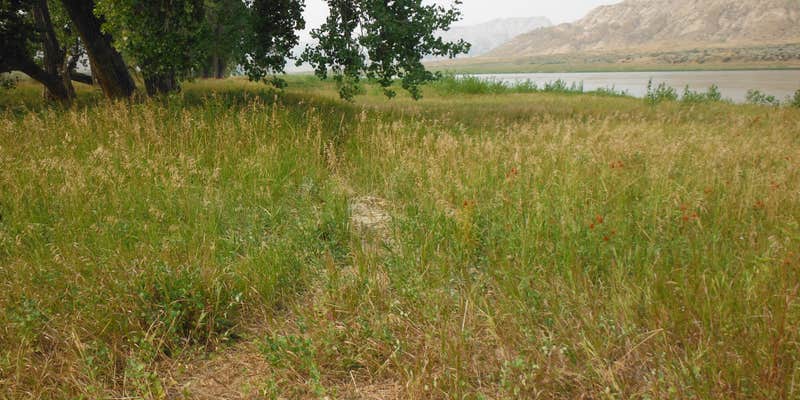 Camper submitted image from McGarry Bar Primitive Boat Camp