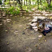 Review photo of South Nicolet Bay Campground — Peninsula State Park by Meg  S., June 30, 2015