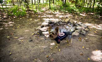 Meg  S.'s photo of camping with pets at South Nicolet Bay Campground — Peninsula State Park near Ephraim, WI