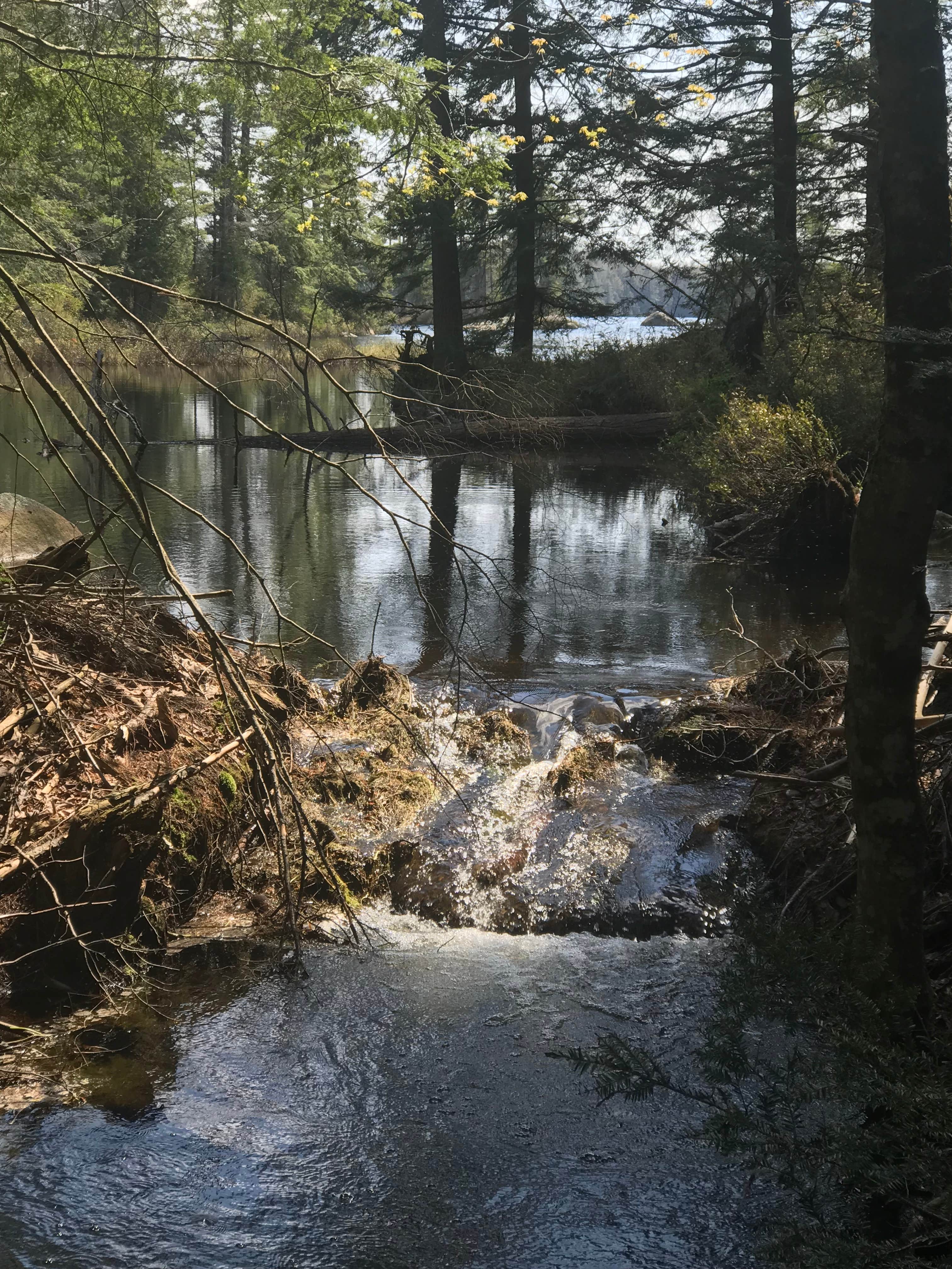 Nature