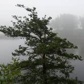 Review photo of Interstate State Park — Interstate State Park by Lisa O., August 25, 2018