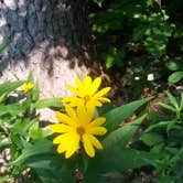 Review photo of Interstate State Park — Interstate State Park by Lisa O., August 25, 2018