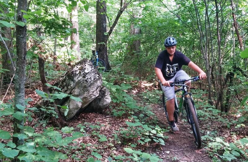 Camper submitted image from Koomer Ridge Campground — Daniel Boone National Forest - 4