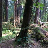 Review photo of Iron Creek Campground by Michael S., August 26, 2018