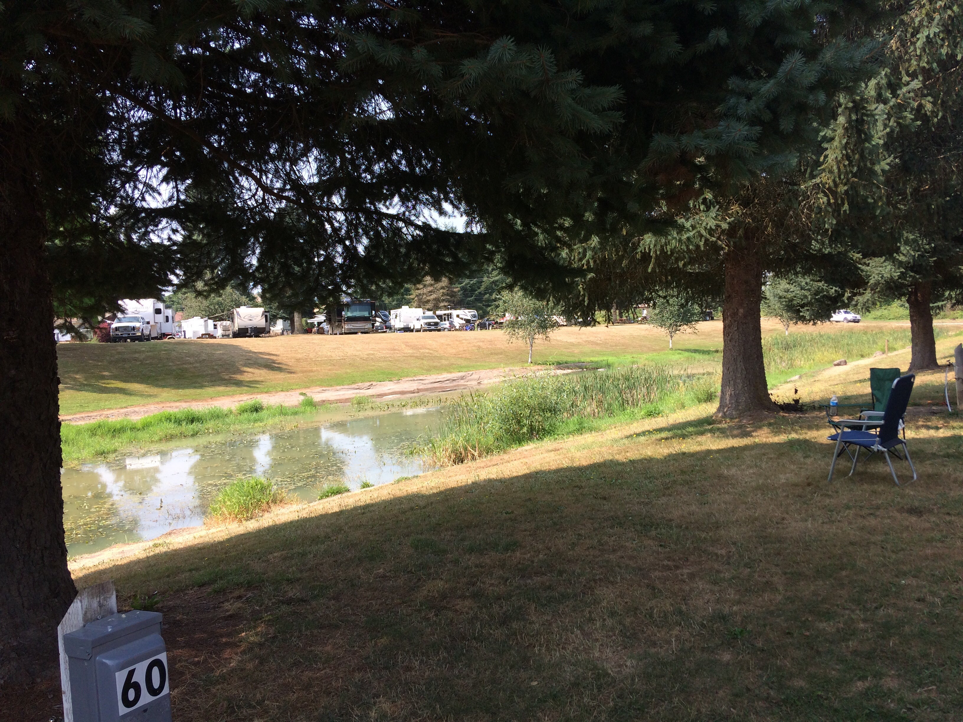 Camper submitted image from Maple Grove RV Resort (Randle) - KM Resorts - 5