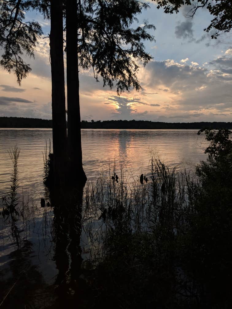 Camper submitted image from Chickahominy Riverfront Park - 3