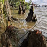 Review photo of Chickahominy Riverfront Park by Katie B., August 26, 2018