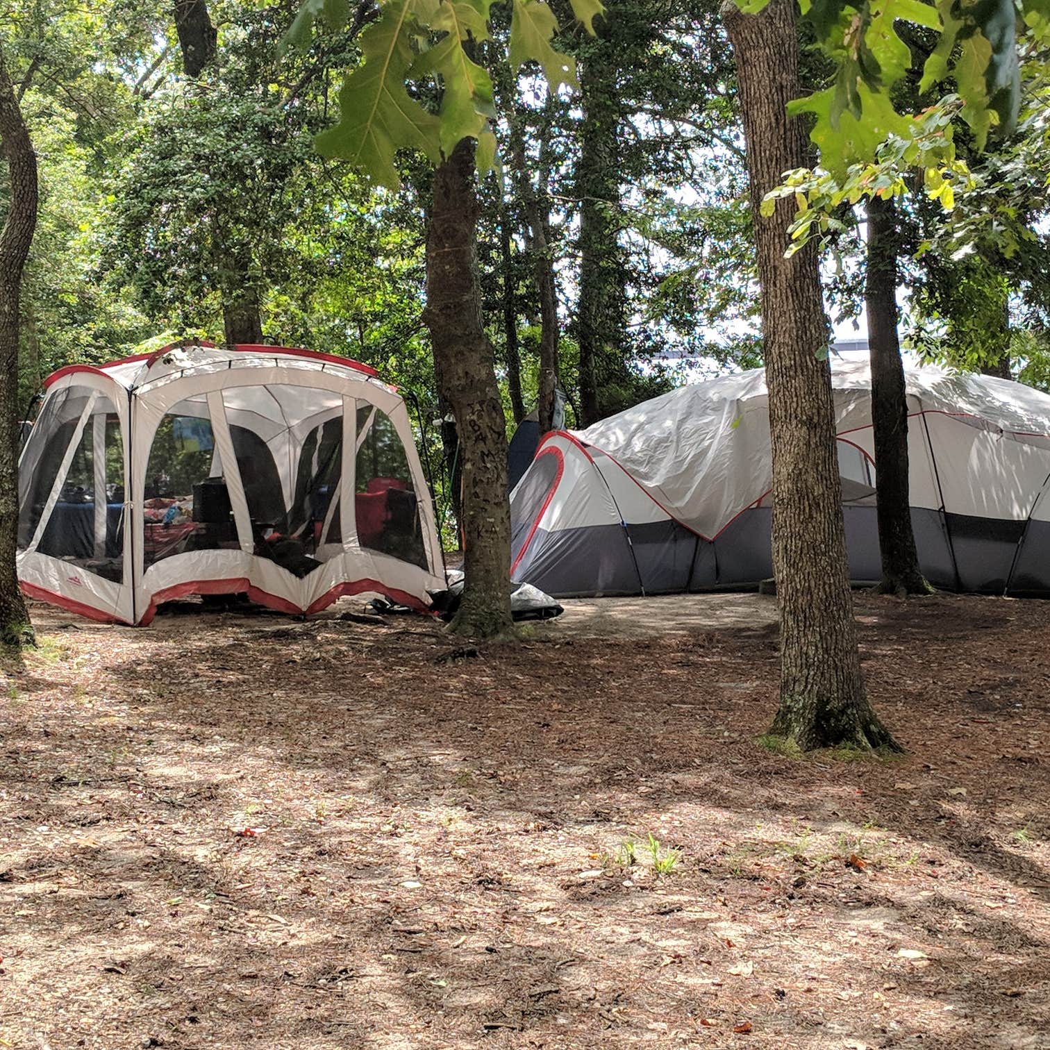 Chickahominy Riverfront Park Camping The Dyrt