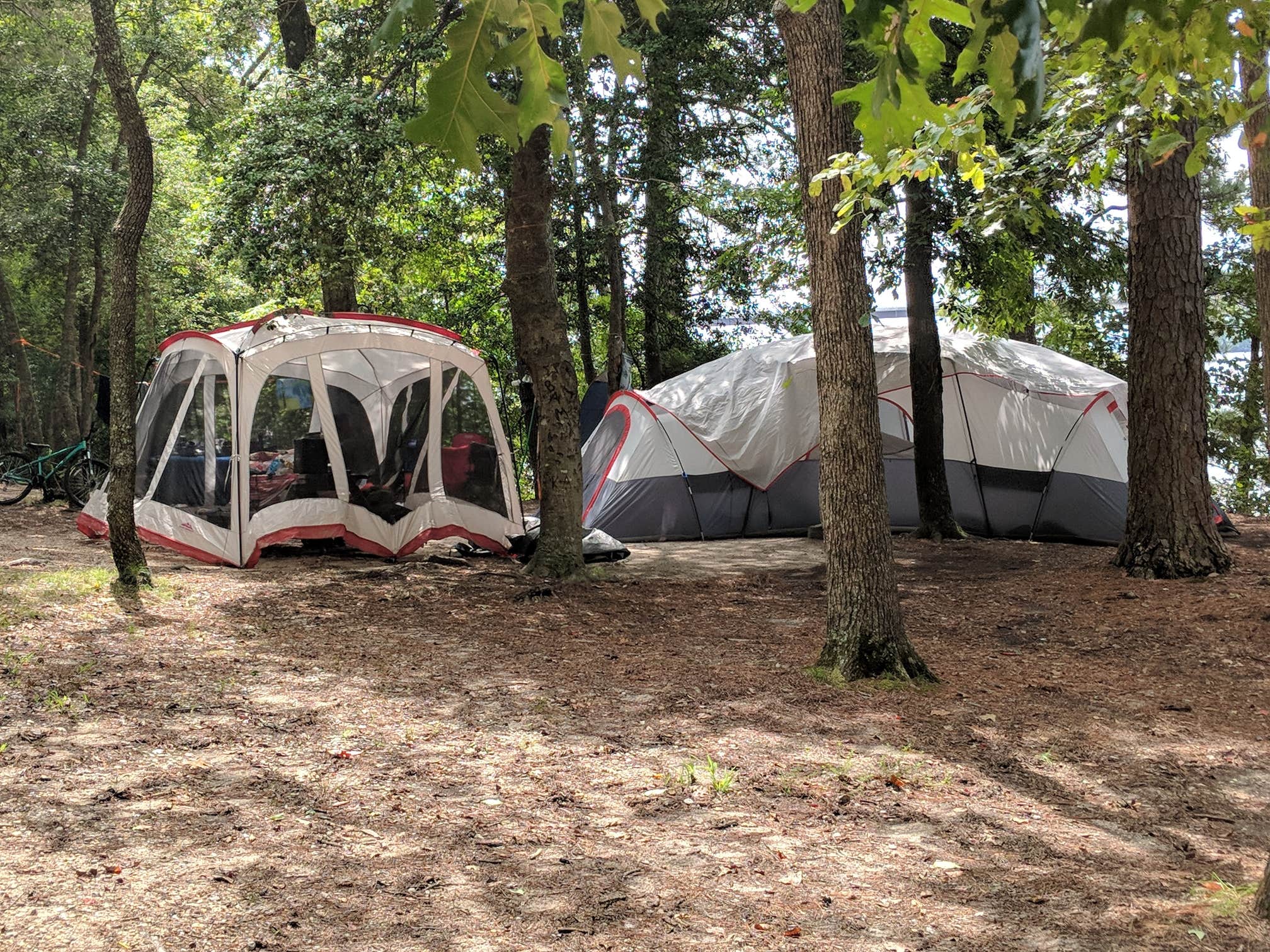 Camper submitted image from Chickahominy Riverfront Park - 4