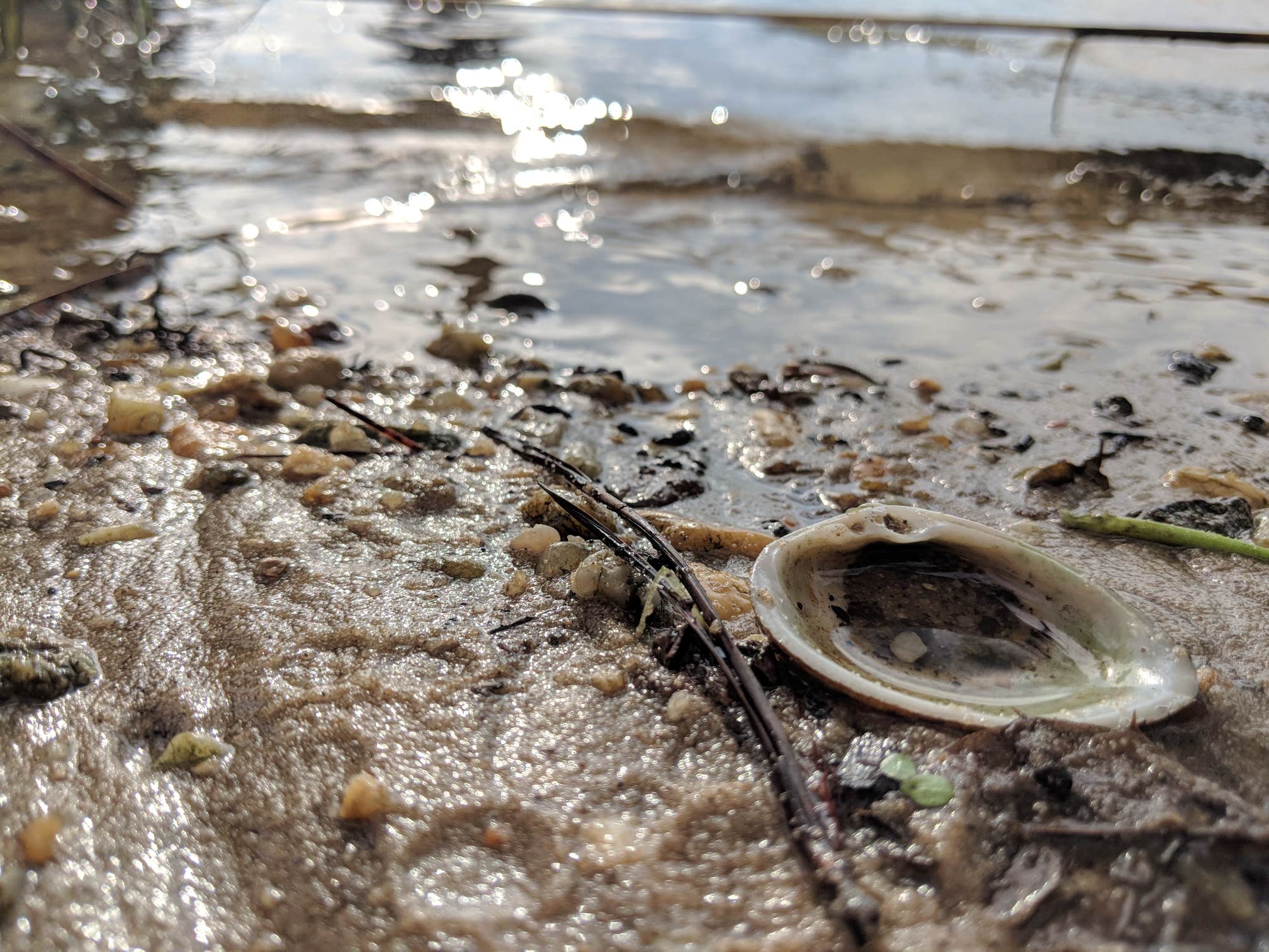 Camper-submitted photo at Chickahominy Riverfront Park near Lanexa, VA