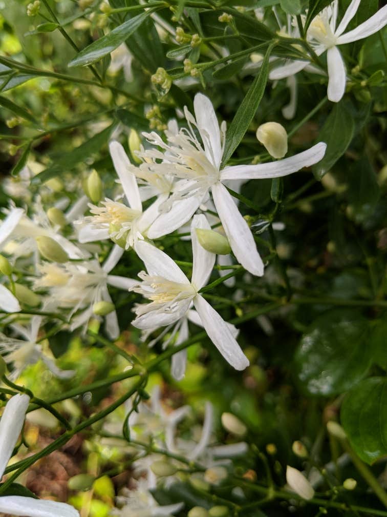 Camper-submitted photo at Chickahominy Riverfront Park near Jamestown, VA