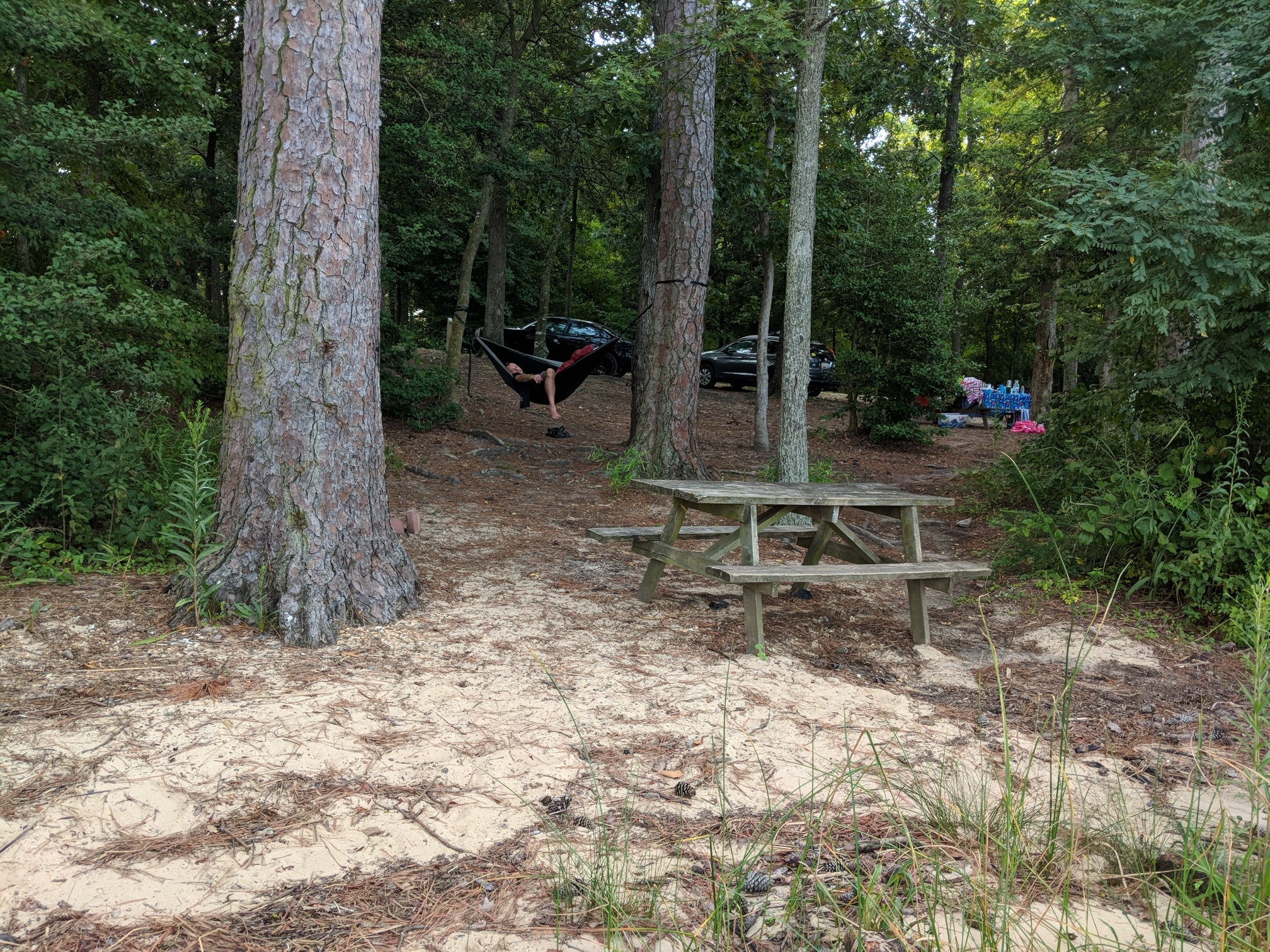 Camper submitted image from Chickahominy Riverfront Park - 4