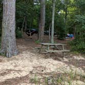 Review photo of Chickahominy Riverfront Park by Katie B., August 26, 2018