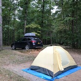 Review photo of Otter Creek Campground — Blue Ridge Parkway by Rosie R., August 26, 2018