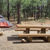 Review photo of Mather Campground — Grand Canyon National Park by Danielle V., July 31, 2016