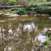 Review photo of Otter Creek Campground — Blue Ridge Parkway by Rosie R., August 26, 2018