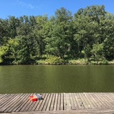 Review photo of Washington County State Recreation Area by Rosie R., August 26, 2018