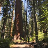 Review photo of North Grove Campground — Calaveras Big Trees State Park by Rosie R., August 26, 2018