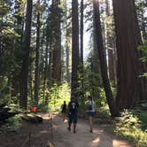 Review photo of North Grove Campground — Calaveras Big Trees State Park by Rosie R., August 26, 2018