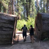 Review photo of North Grove Campground — Calaveras Big Trees State Park by Rosie R., August 26, 2018