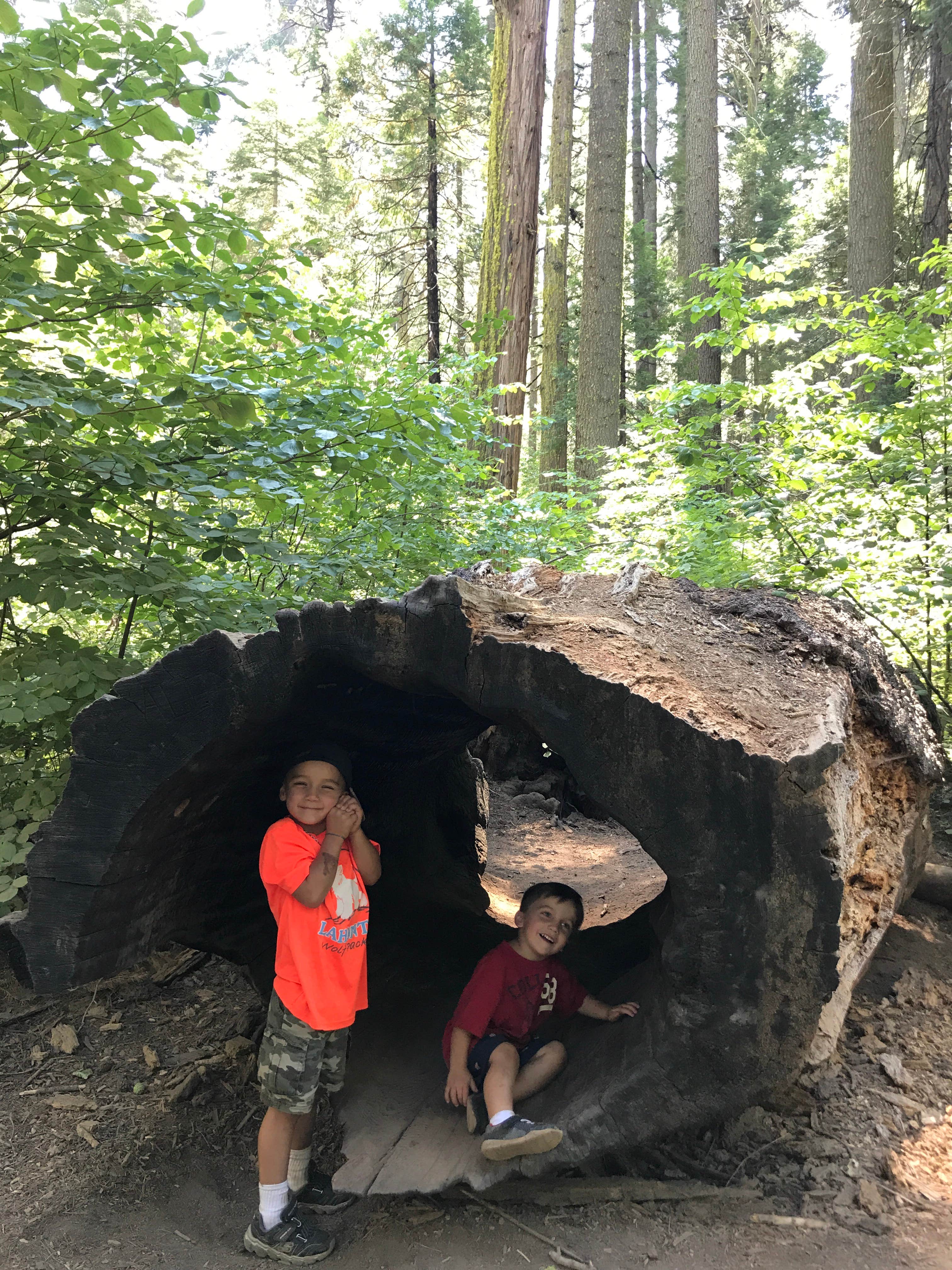 North Grove Campground — Calaveras Big Trees State Park