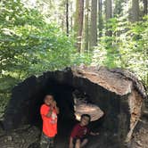 Review photo of North Grove Campground — Calaveras Big Trees State Park by Rosie R., August 26, 2018