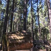 Review photo of North Grove Campground — Calaveras Big Trees State Park by Rosie R., August 26, 2018