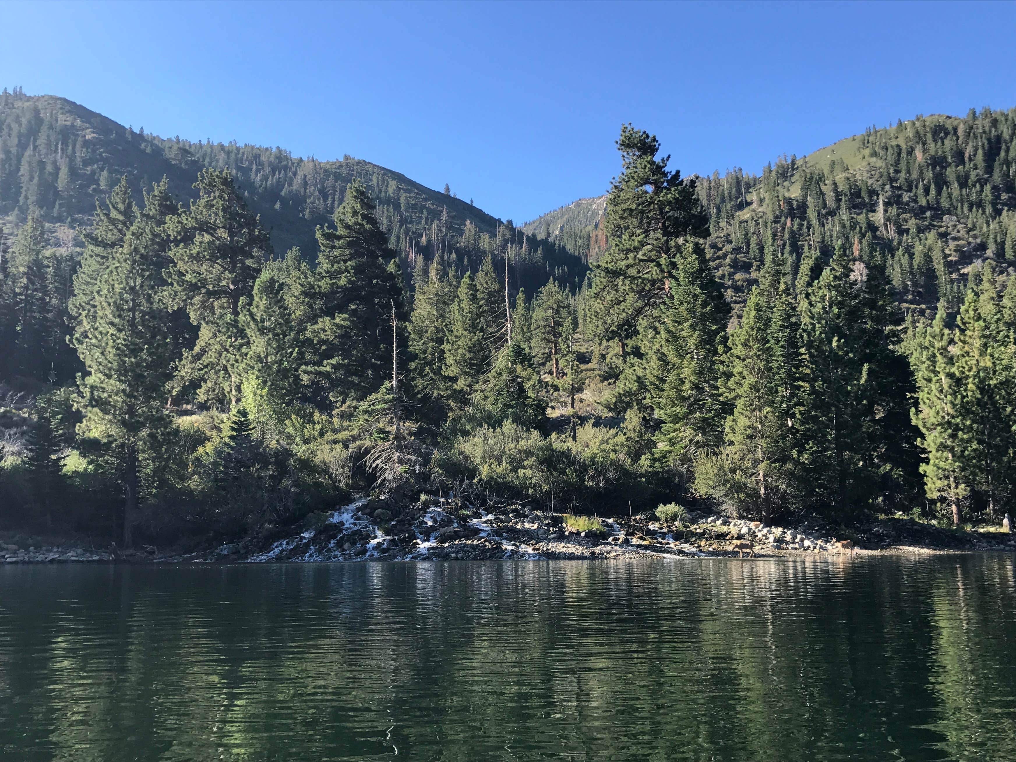 Twin Lakes Campground The Dyrt