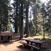 Review photo of Mazama Village Campground — Crater Lake National Park by Corinna B., August 26, 2018