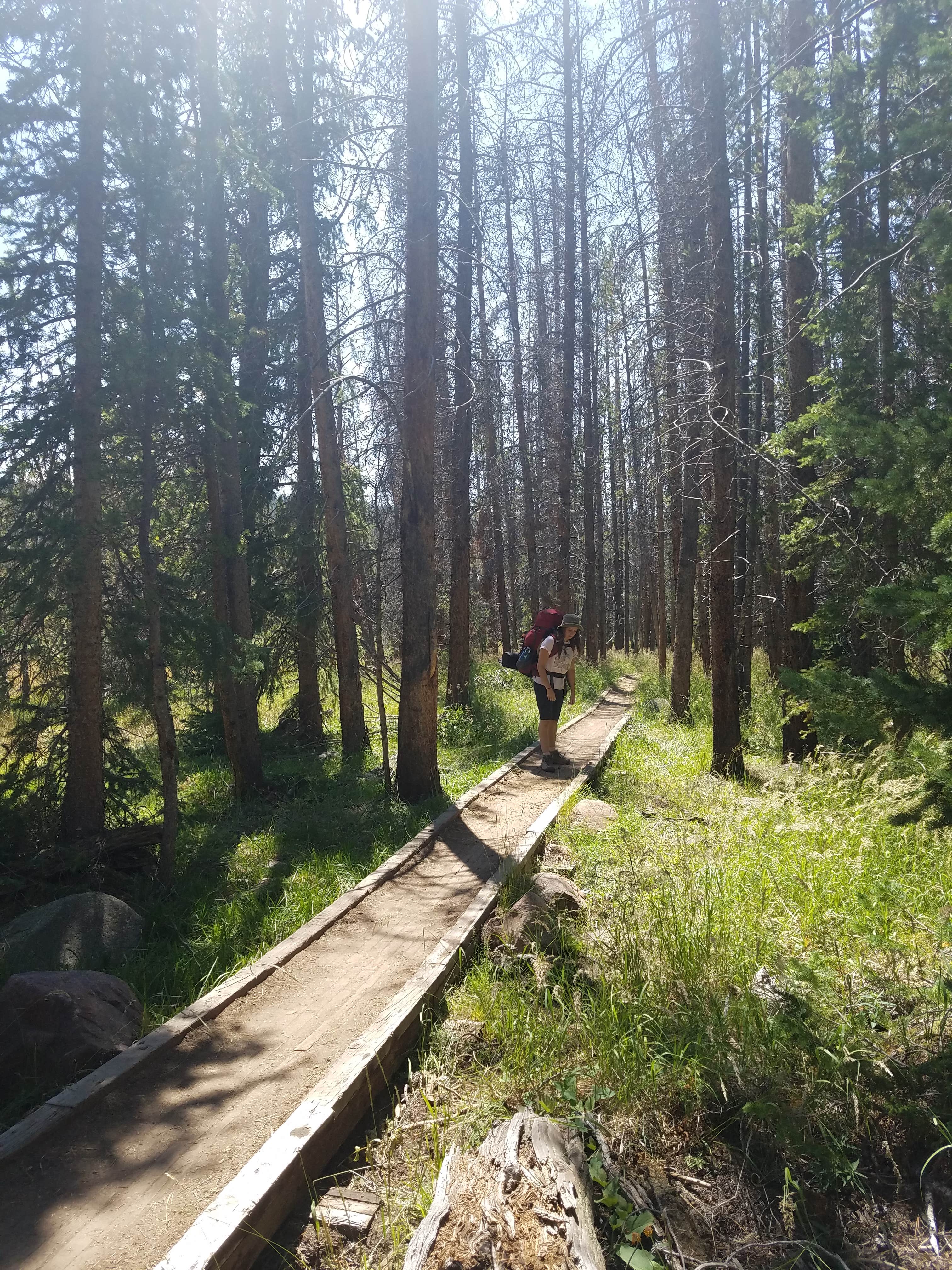 Camper submitted image from China Meadows Trailhead - 2