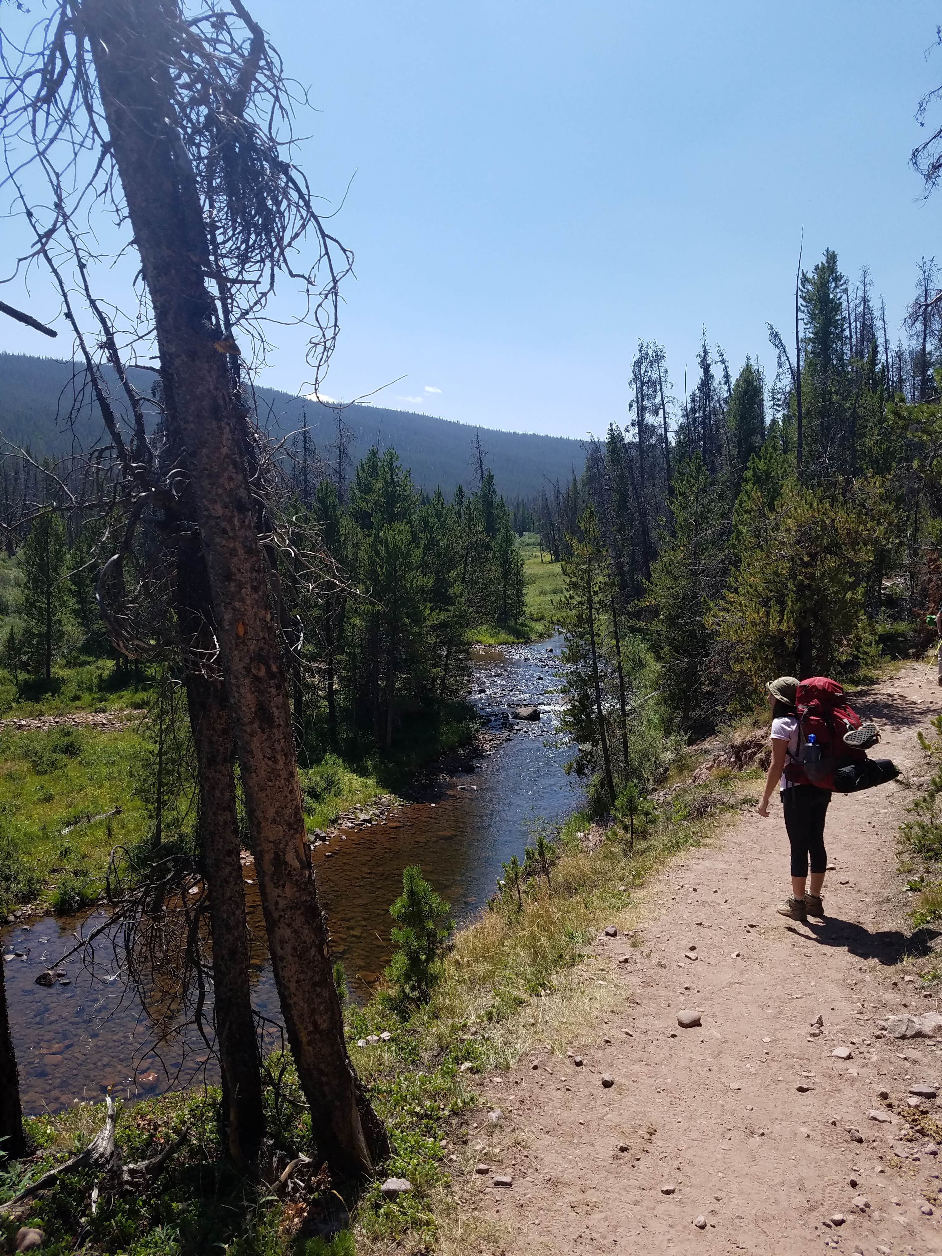 Camper submitted image from China Meadows Trailhead - 4