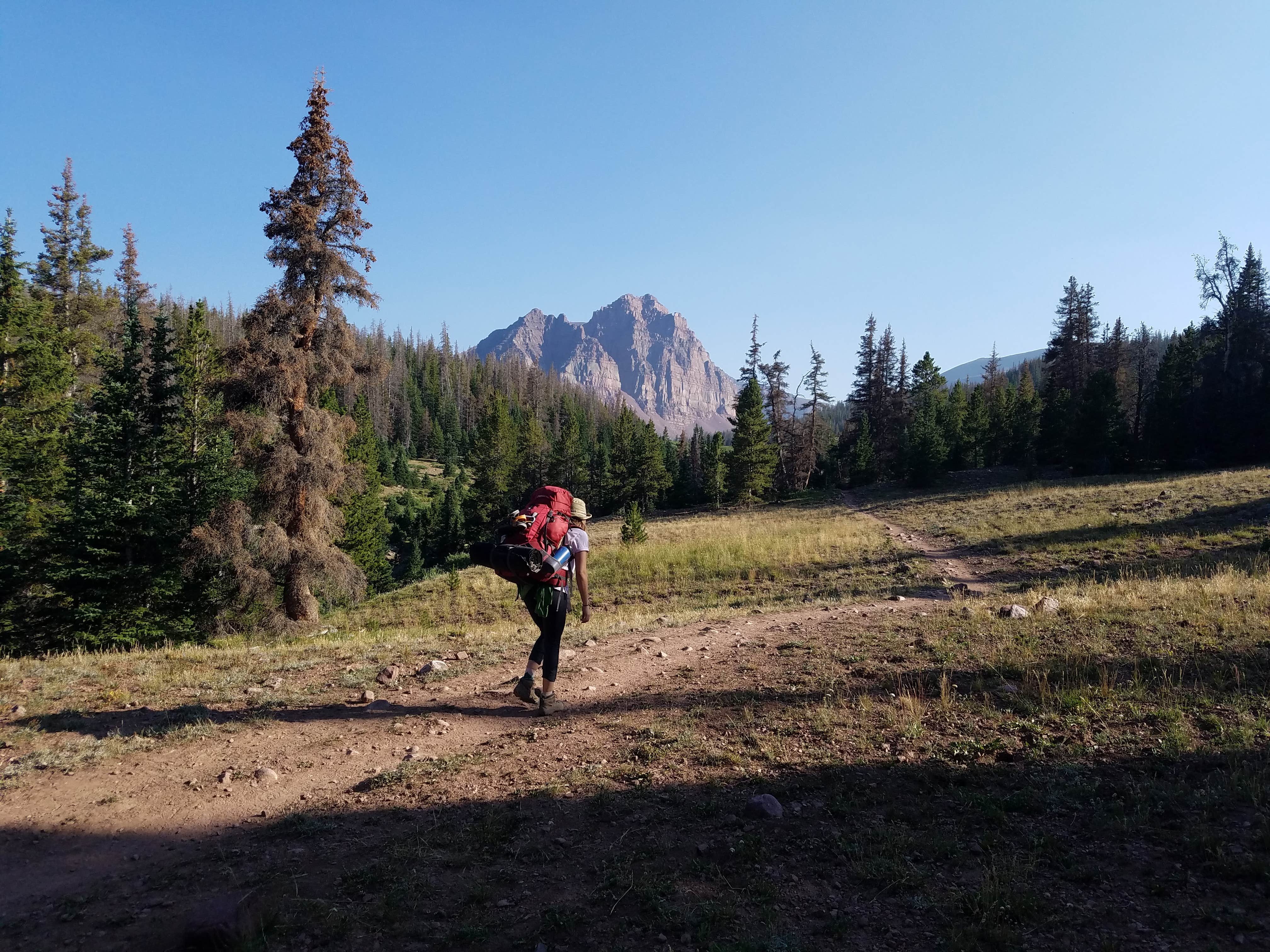 Camper submitted image from China Meadows Trailhead - 2