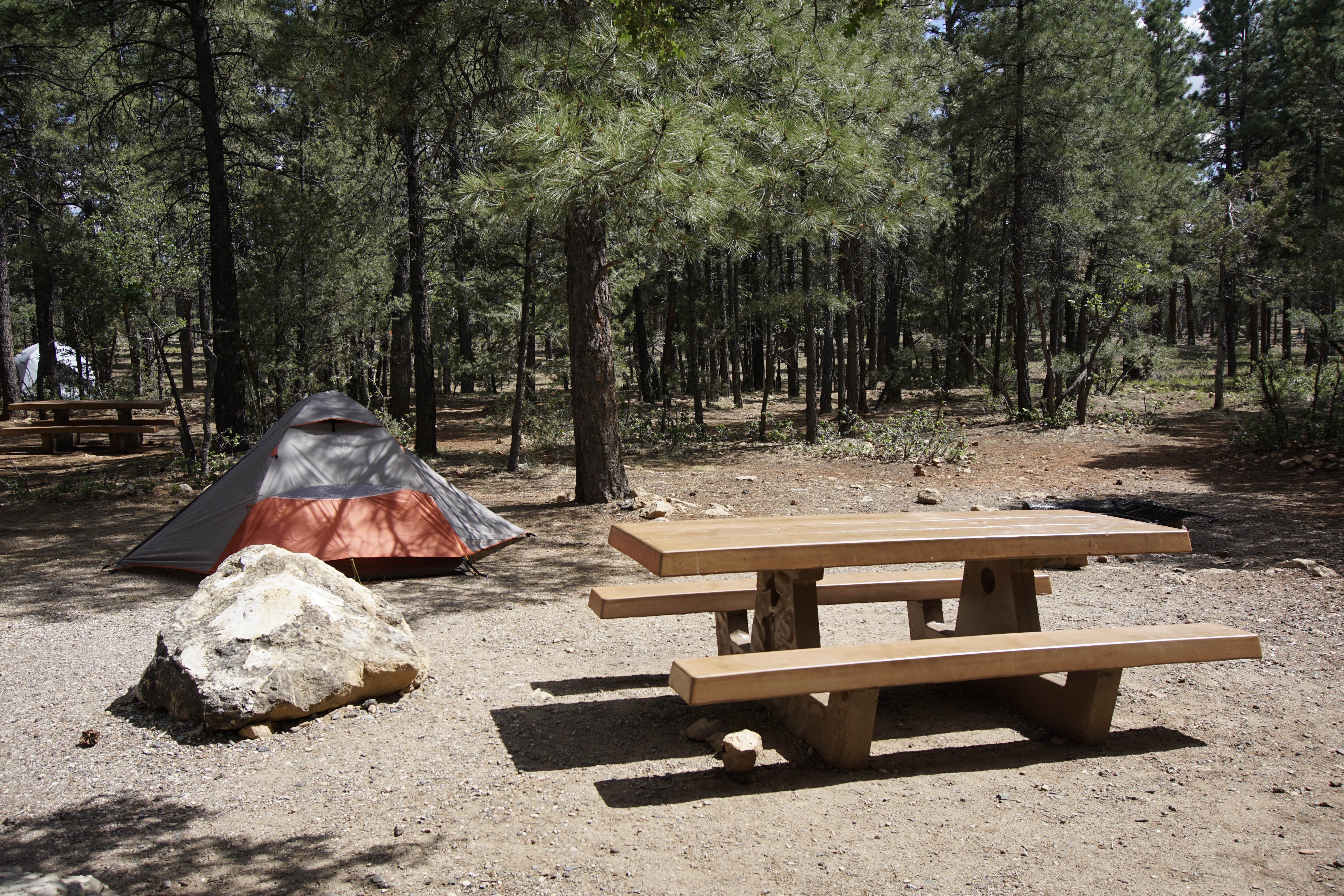 Danielle V.'s photo at Mather Campground — Grand Canyon National Park near Grand Canyon National Park