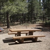 Review photo of Mather Campground — Grand Canyon National Park by Danielle V., July 31, 2016