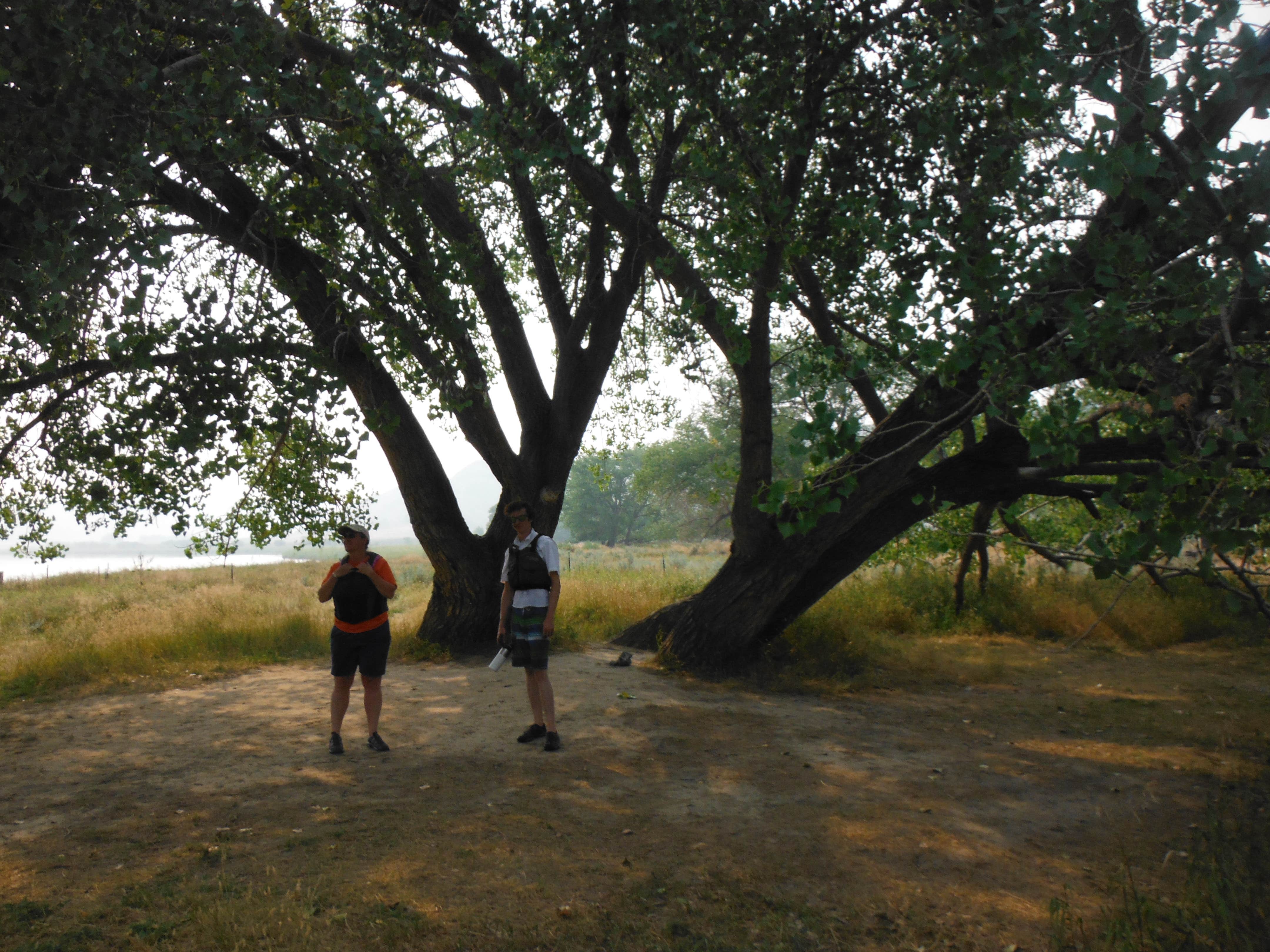 Camper-submitted photo at Gist Bottom Primitive Boat Camp near Hilger, MT