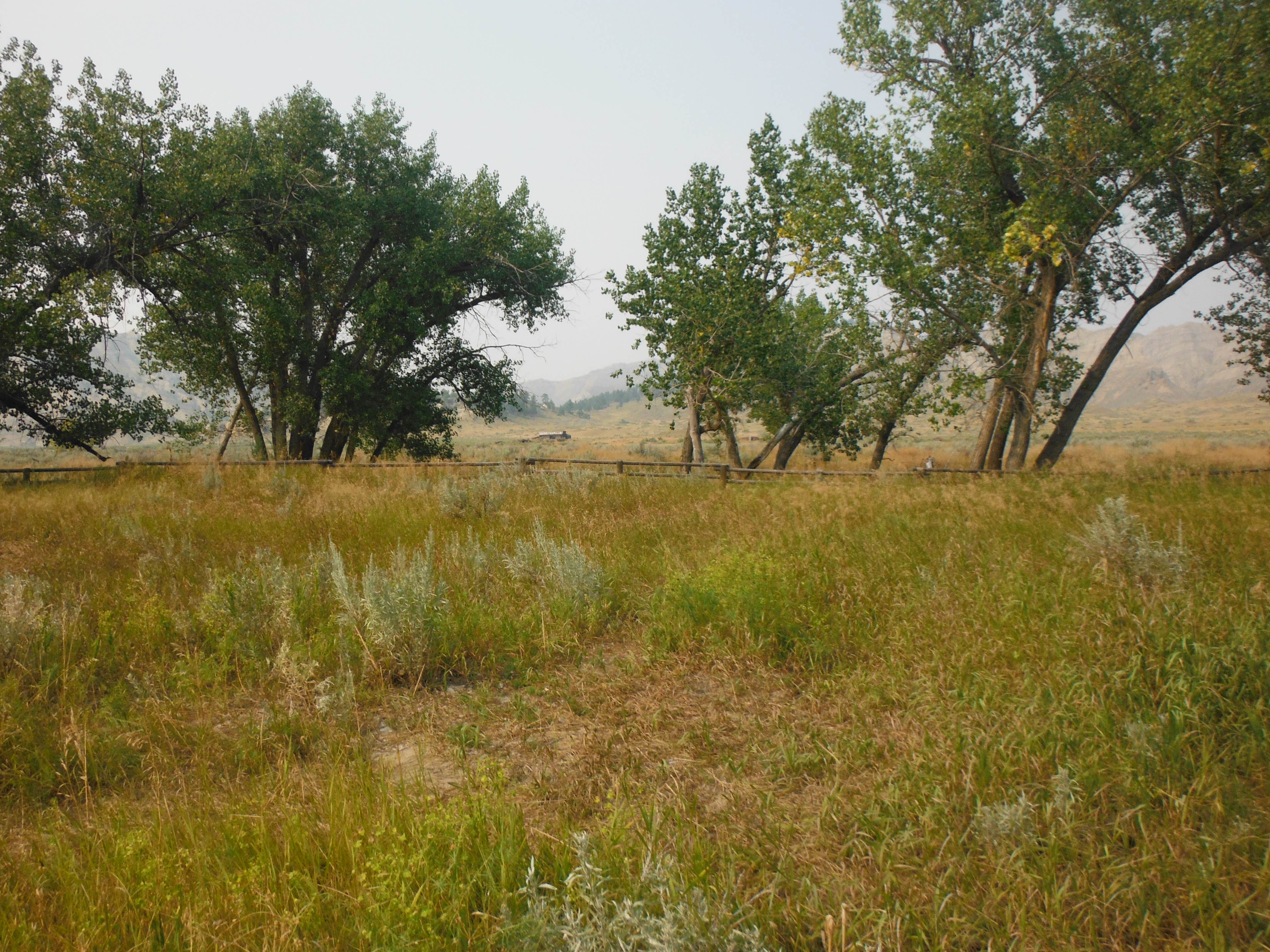 Camper-submitted photo at Gist Bottom Primitive Boat Camp near Hilger, MT