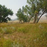 Review photo of Gist Bottom Primitive Boat Camp by Dexter I., August 26, 2018