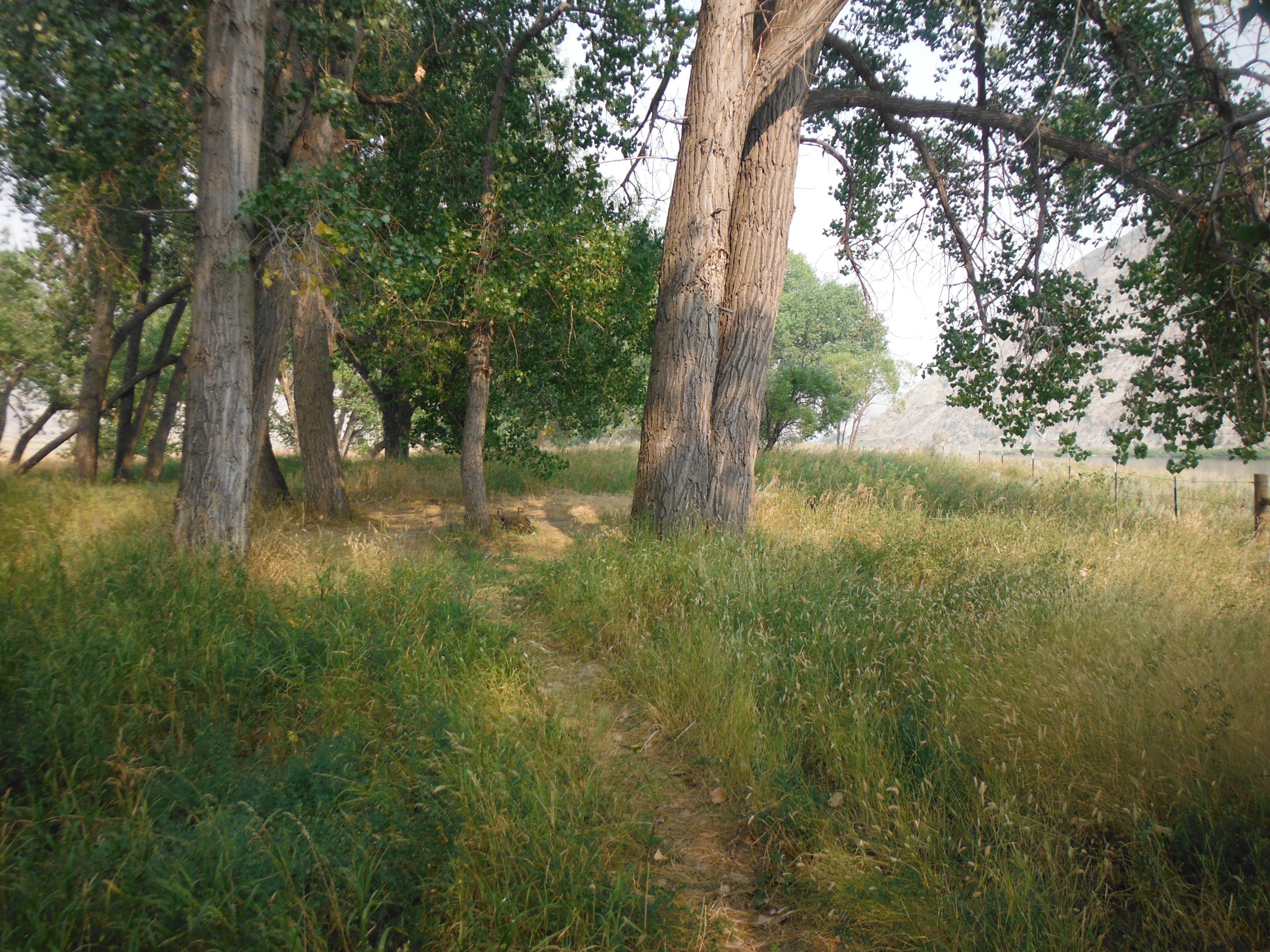 Camper-submitted photo at Gist Bottom Primitive Boat Camp near Hilger, MT