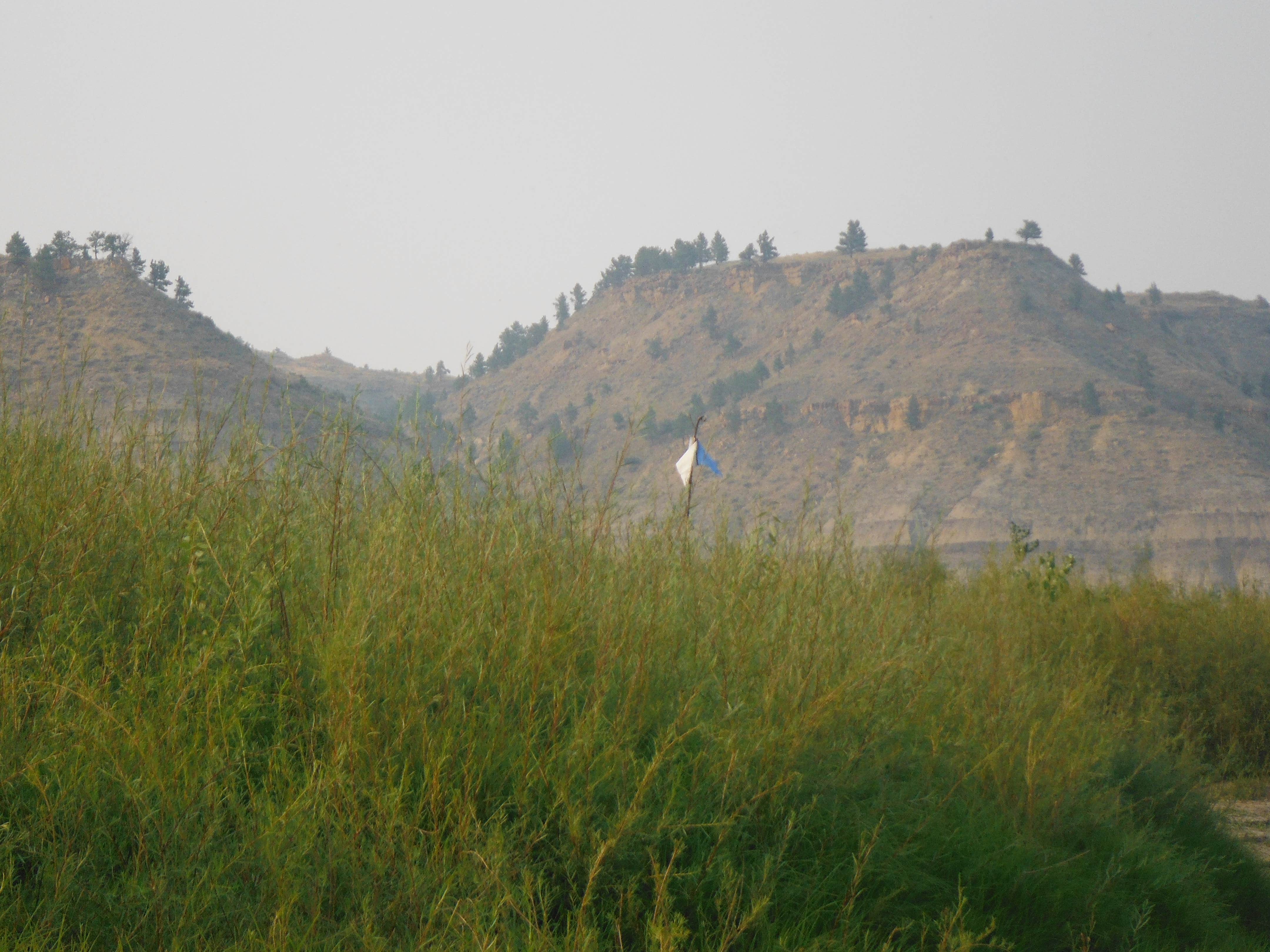 Camper-submitted photo at Lower Woodhawk Campground near Hilger, MT