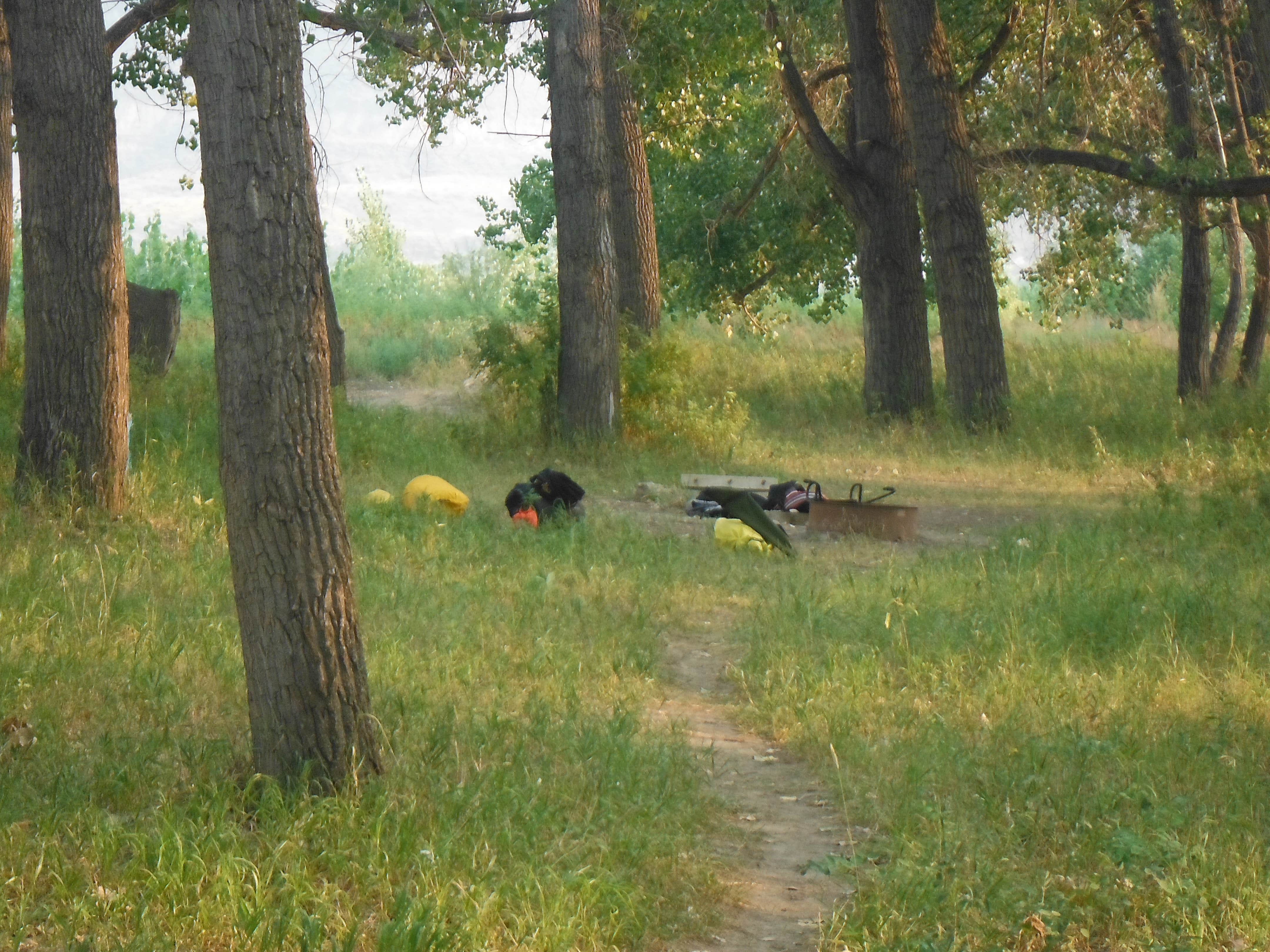 Camper-submitted photo at Lower Woodhawk Campground near Hilger, MT