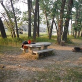 Review photo of Lower Woodhawk Campground by Dexter I., August 26, 2018